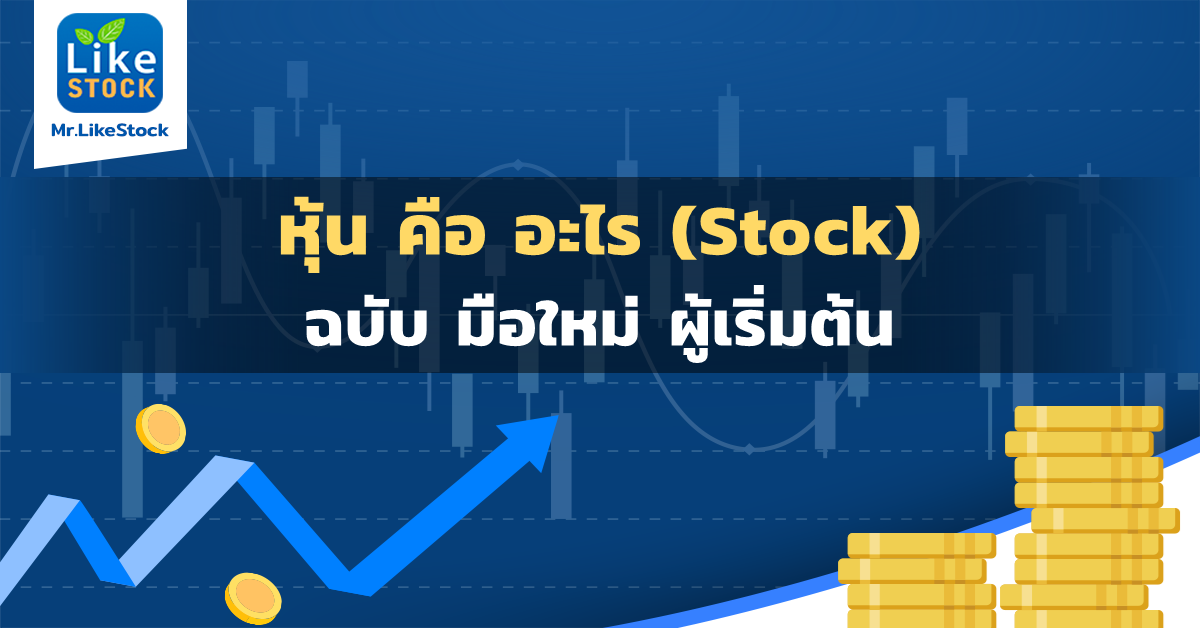 หุ้น คือ (Stock) ฉบับมือใหม่ ผู้เริ่มต้น